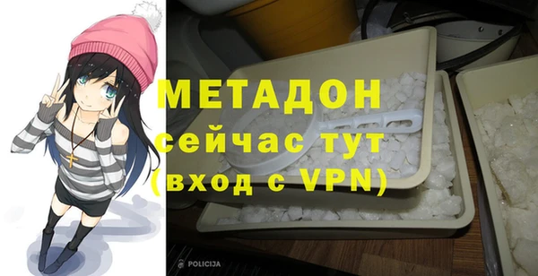 индика Новозыбков
